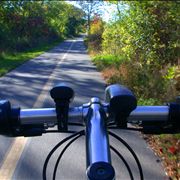 Picture Of Bicycle Path