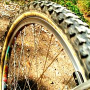 Picture Of Bicycle Wheel
