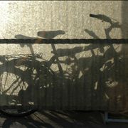 Picture Of Bicycles Shadows