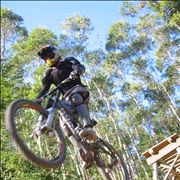 Picture Of Mountain Bike