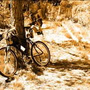Picture Of Mountain Family Bike