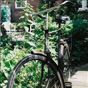 Picture Of Old Bicycle In Garden