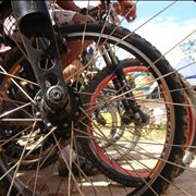 Picture Of Racing Bikes