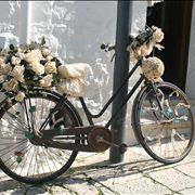 Picture Of Wedding Bicycle
